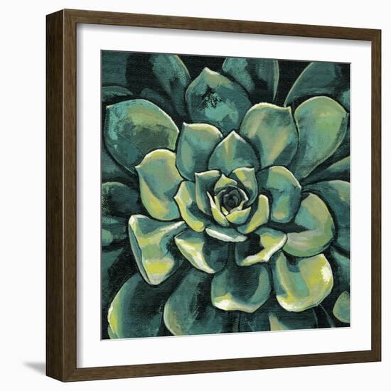 Succulent Bloom I-Megan Meagher-Framed Art Print