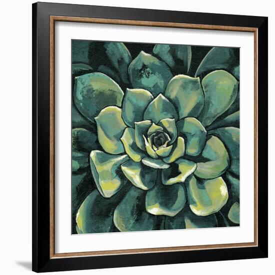 Succulent Bloom I-Megan Meagher-Framed Art Print