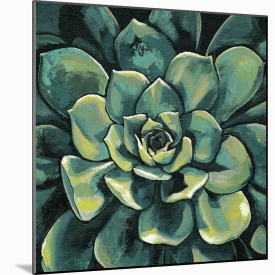 Succulent Bloom I-Megan Meagher-Mounted Art Print