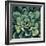 Succulent Bloom I-Megan Meagher-Framed Art Print
