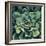 Succulent Bloom I-Megan Meagher-Framed Premium Giclee Print