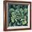 Succulent Bloom I-Megan Meagher-Framed Premium Giclee Print