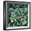 Succulent Bloom I-Megan Meagher-Framed Premium Giclee Print