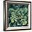 Succulent Bloom I-Megan Meagher-Framed Premium Giclee Print