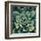 Succulent Bloom I-Megan Meagher-Framed Art Print