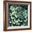 Succulent Bloom II-Megan Meagher-Framed Art Print