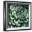 Succulent Bloom II-Megan Meagher-Framed Art Print