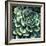 Succulent Bloom II-Megan Meagher-Framed Art Print