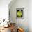 Succulent Blossom II-Erin Berzel-Framed Photographic Print displayed on a wall