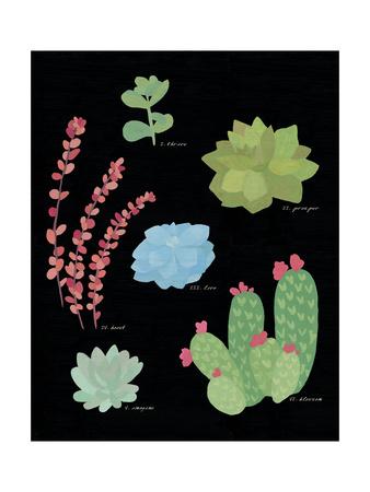 Succulent Chart