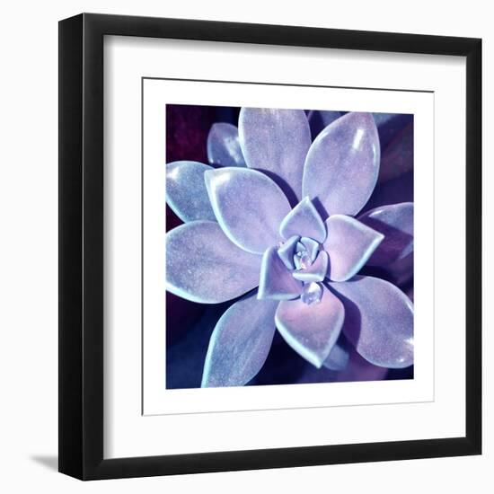 Succulent Dawn 4-Debbie Pearson-Framed Art Print