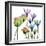 Succulent Garden 1-Albert Koetsier-Framed Photographic Print