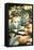 Succulent Garden III-Karyn Millet-Framed Stretched Canvas