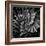 Succulent I-Mia Jensen-Framed Art Print