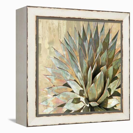 Succulent I-Lindsay Benson-Framed Stretched Canvas