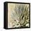 Succulent I-Lindsay Benson-Framed Stretched Canvas