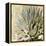 Succulent I-Lindsay Benson-Framed Stretched Canvas