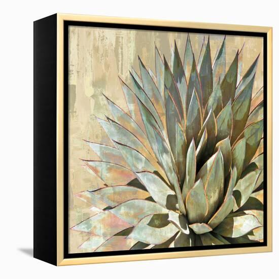 Succulent I-Lindsay Benson-Framed Stretched Canvas