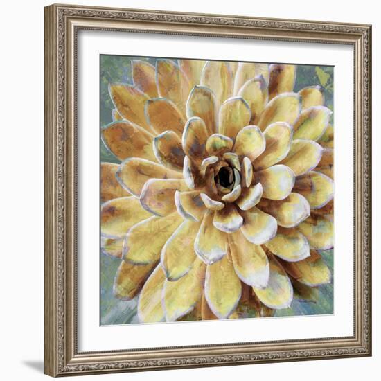 Succulent II-Lindsay Benson-Framed Art Print