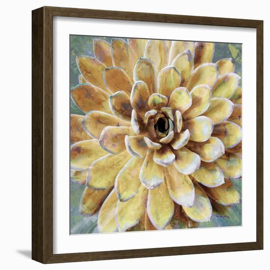 Succulent II-Lindsay Benson-Framed Art Print