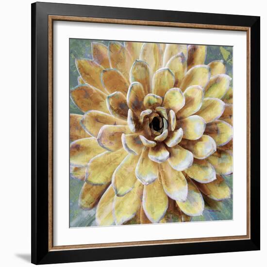 Succulent II-Lindsay Benson-Framed Art Print