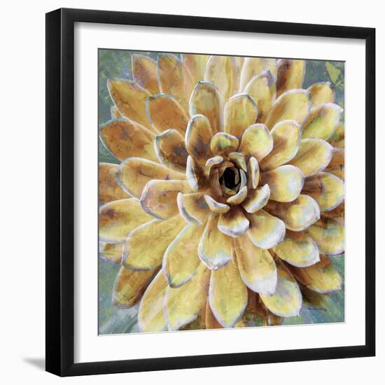 Succulent II-Lindsay Benson-Framed Art Print