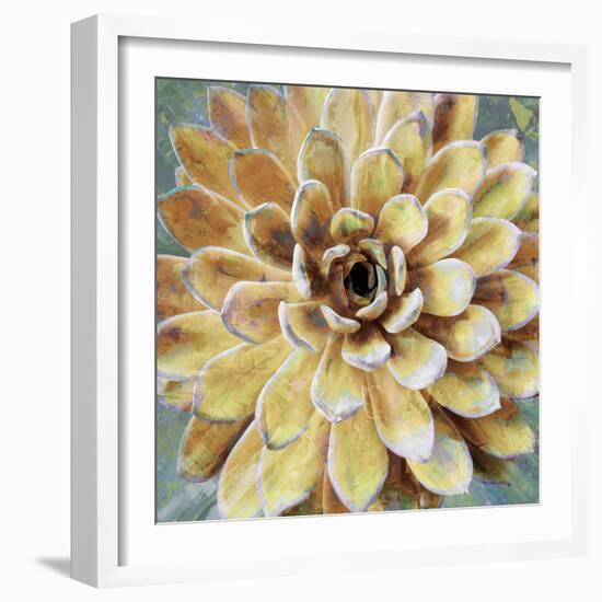 Succulent II-Lindsay Benson-Framed Art Print