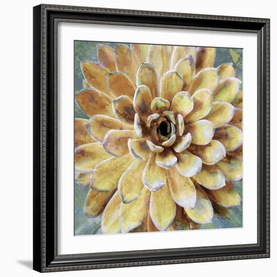 Succulent II-Lindsay Benson-Framed Art Print