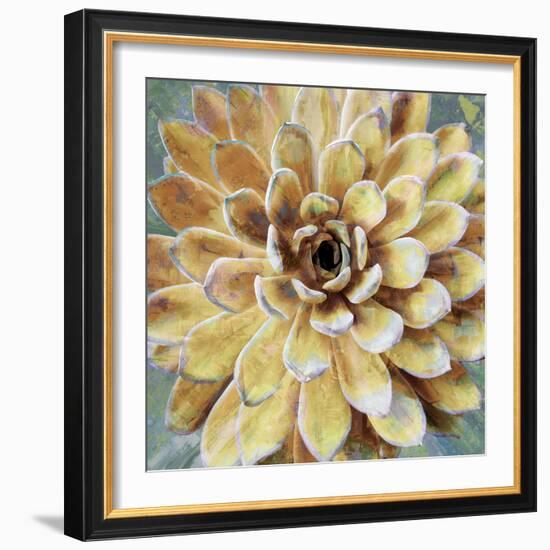 Succulent II-Lindsay Benson-Framed Art Print