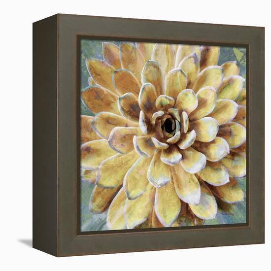 Succulent II-Lindsay Benson-Framed Stretched Canvas