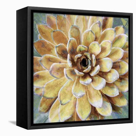 Succulent II-Lindsay Benson-Framed Stretched Canvas