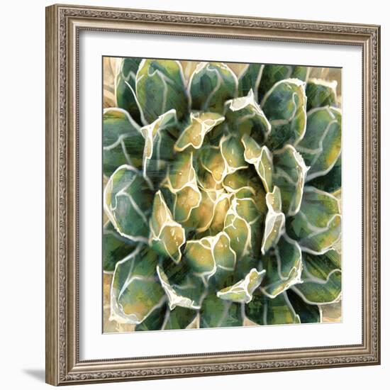 Succulent III-Lindsay Benson-Framed Art Print