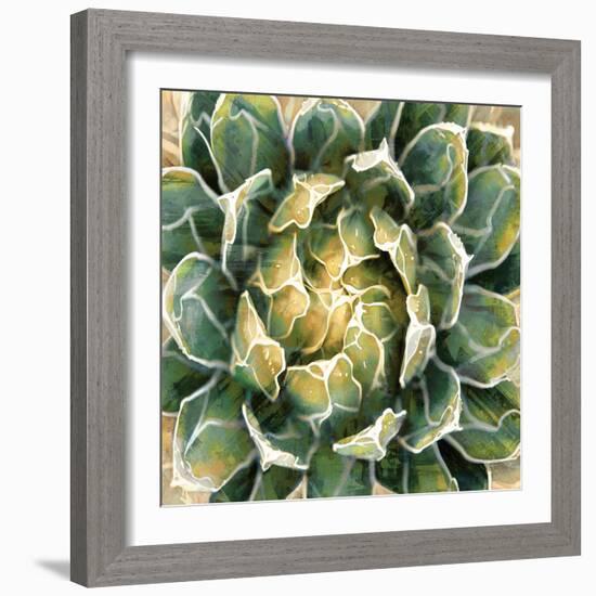 Succulent III-Lindsay Benson-Framed Art Print