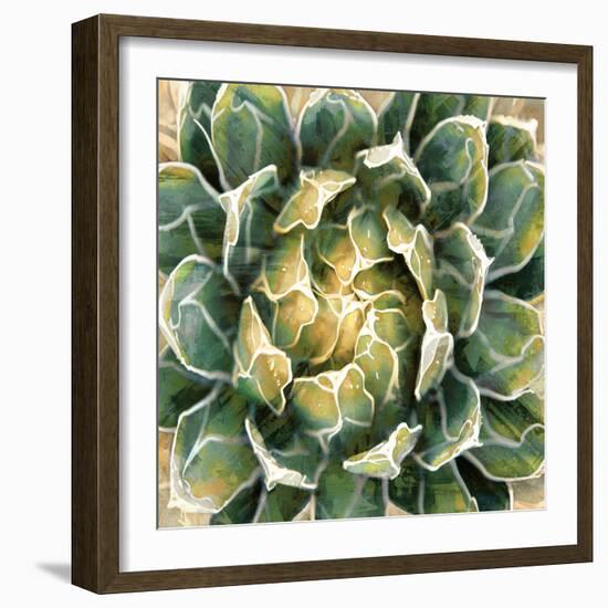 Succulent III-Lindsay Benson-Framed Art Print