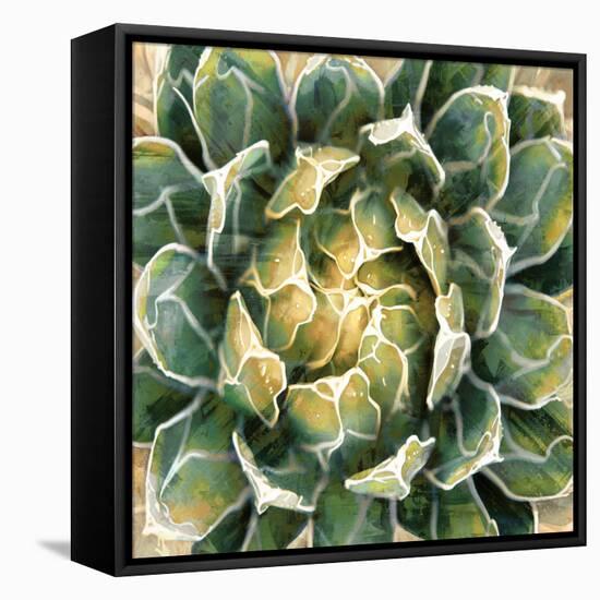 Succulent III-Lindsay Benson-Framed Stretched Canvas