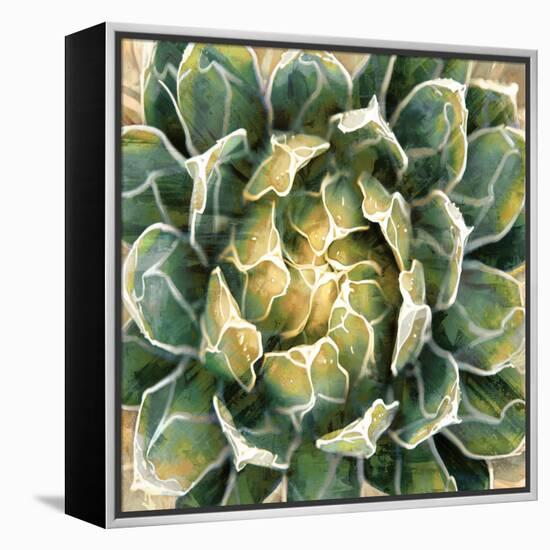 Succulent III-Lindsay Benson-Framed Stretched Canvas