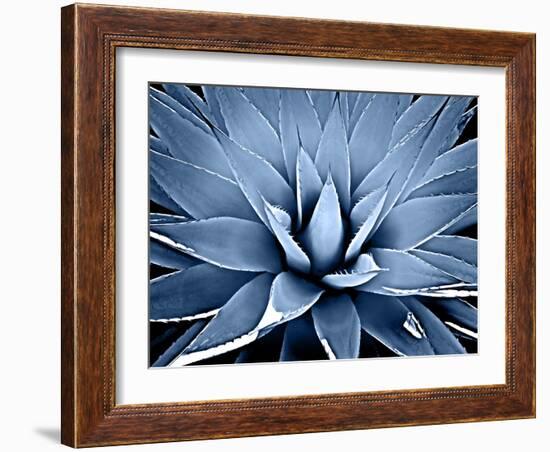 Succulent Indigo III-Mia Jensen-Framed Art Print