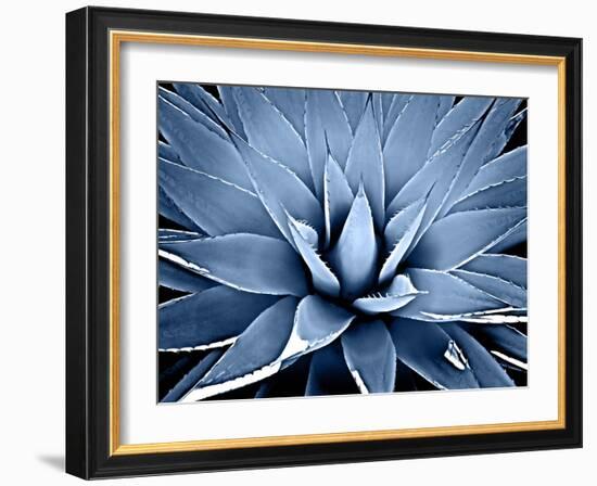 Succulent Indigo III-Mia Jensen-Framed Art Print