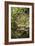 Succulent IV-Karyn Millet-Framed Photographic Print