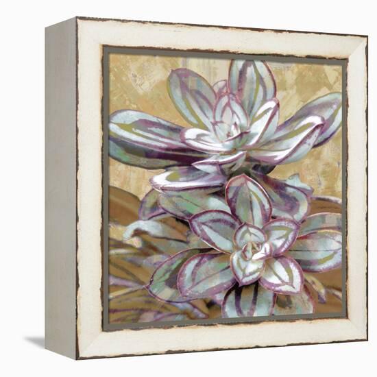 Succulent IV-Lindsay Benson-Framed Stretched Canvas