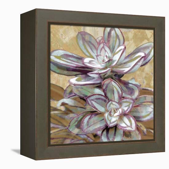 Succulent IV-Lindsay Benson-Framed Stretched Canvas