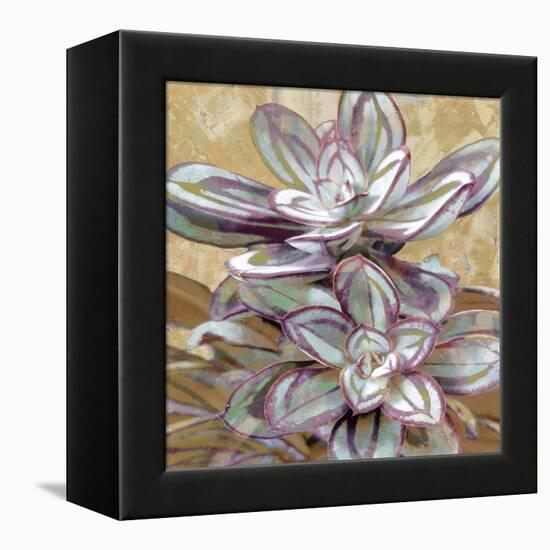 Succulent IV-Lindsay Benson-Framed Stretched Canvas