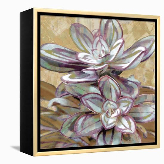 Succulent IV-Lindsay Benson-Framed Stretched Canvas