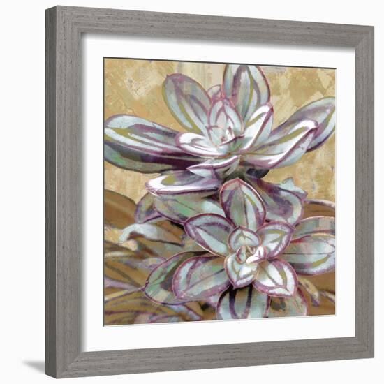 Succulent IV-Lindsay Benson-Framed Art Print