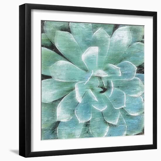 Succulent Memory 1-Debbie Pearson-Framed Photo