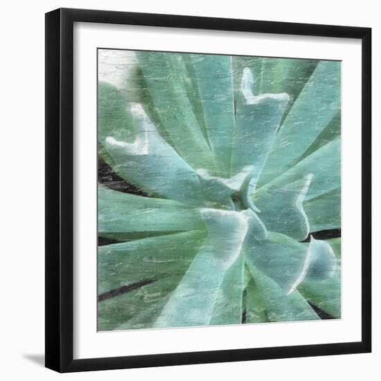 Succulent Memory 2-Debbie Pearson-Framed Photo