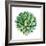 Succulent Plant Isolated on White-kenny001-Framed Photographic Print