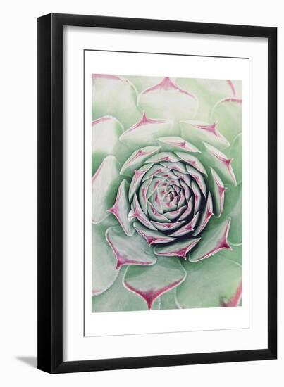 Succulent Red Tips-Urban Epiphany-Framed Art Print