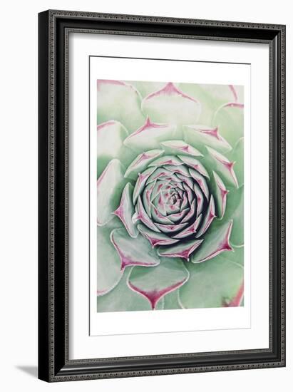 Succulent Red Tips-Urban Epiphany-Framed Premium Giclee Print