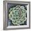 Succulent Rosette II-Chariklia Zarris-Framed Premium Giclee Print